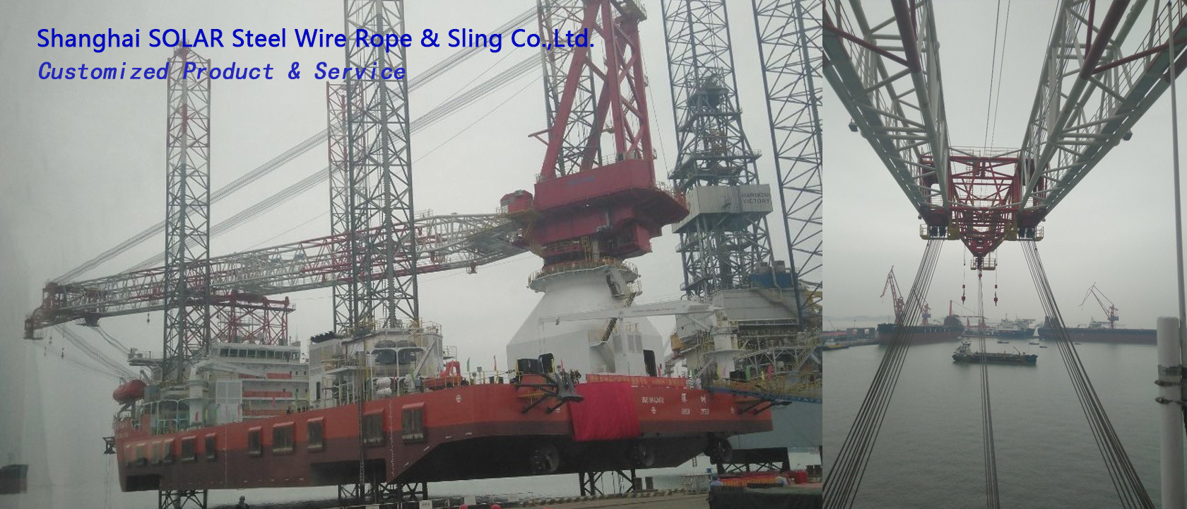 China best Special Wire Rope on sales