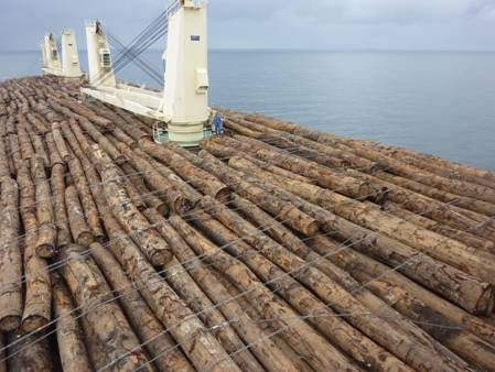 Marine Log Lashing Steel Wire Rope with Thimble and Soft Eye Loop 6x24 FC API 9A 22mm 24mm 26mm